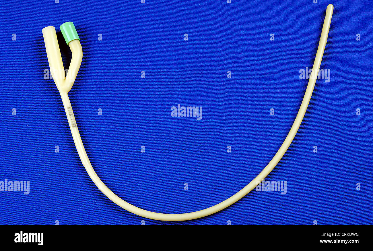 Urinary bladder hires stock photography and images Alamy