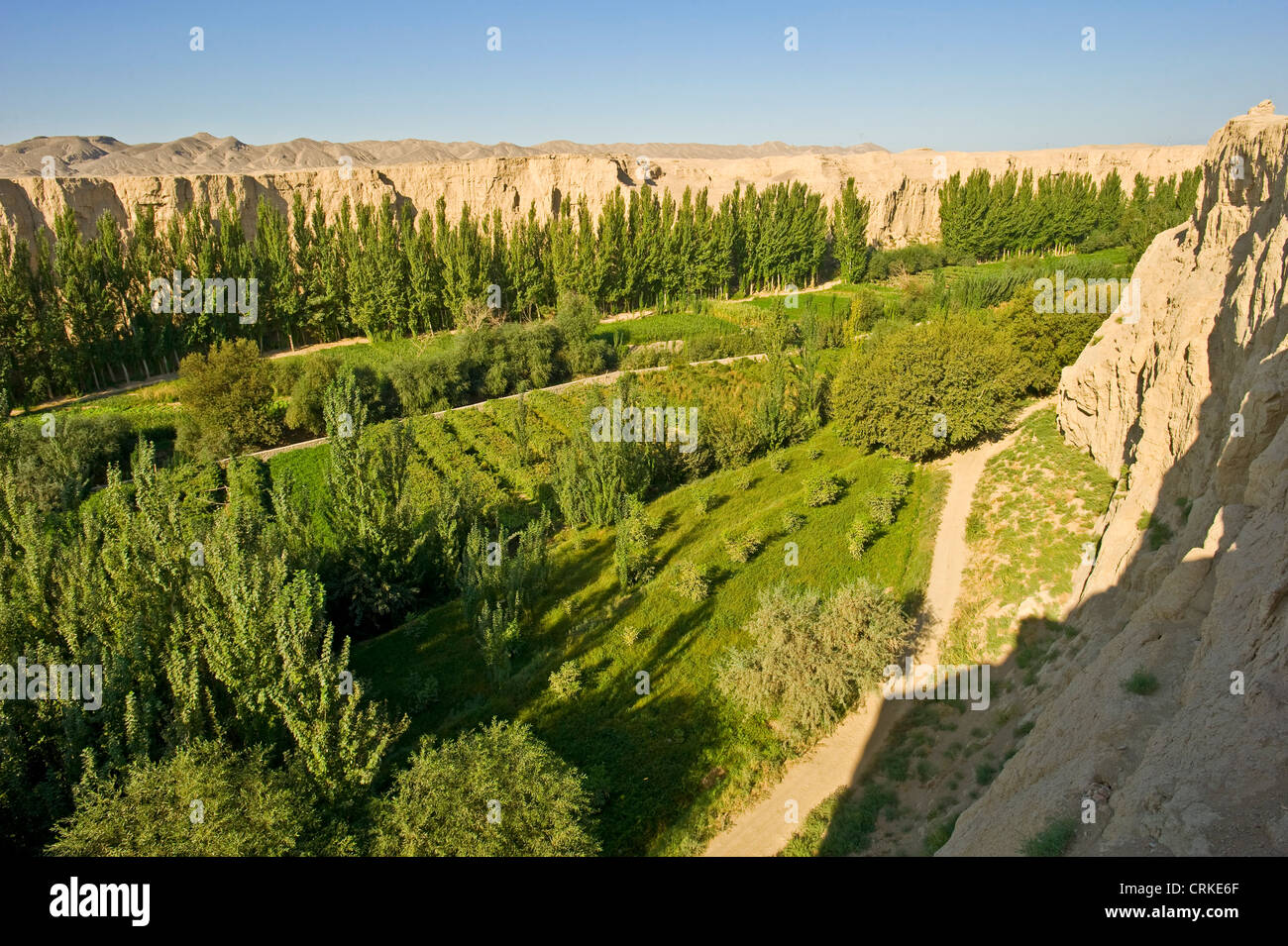 Grape valley area of Turpan and known for its high quality produce. Stock Photo