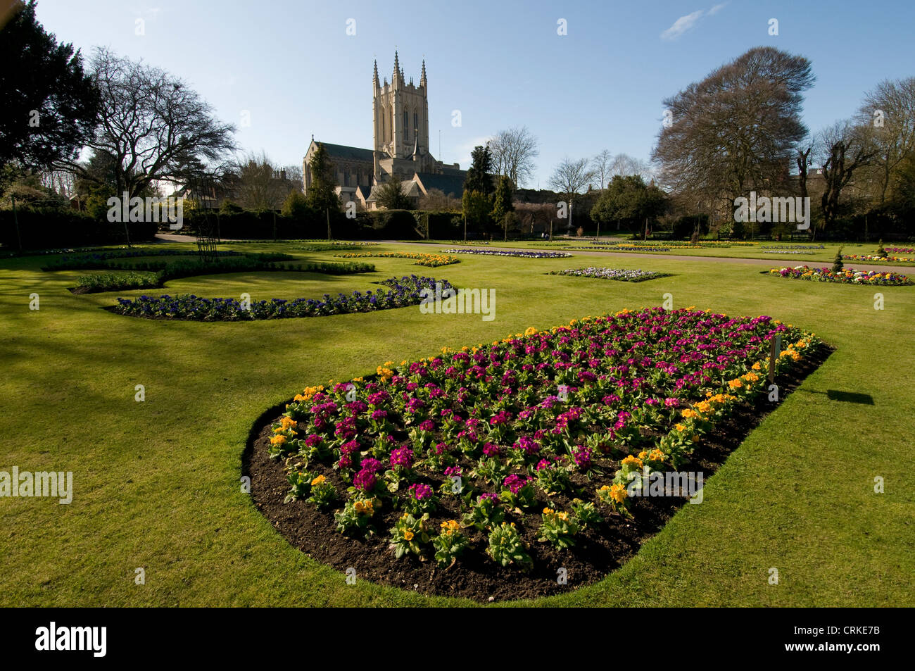 Bury St.Edmunds Cathedral in the Abbey gardens, Bury St.Edmunds,Suffolk, Britain Stock Photo Alamy