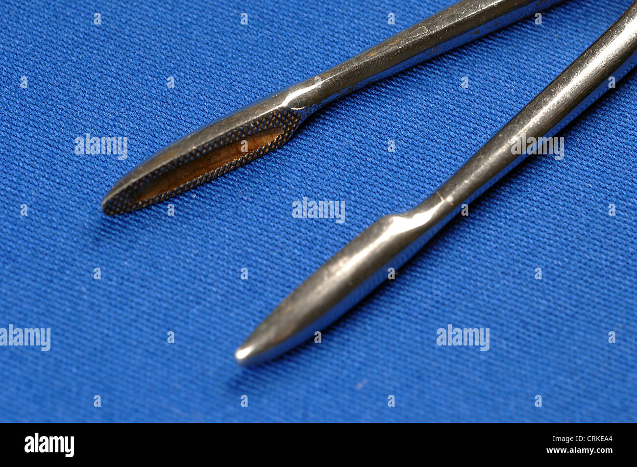 Gross-Maier dressing forceps; used to help dress a surgical wound by removing bits of tissue or foreign objects. Stock Photo