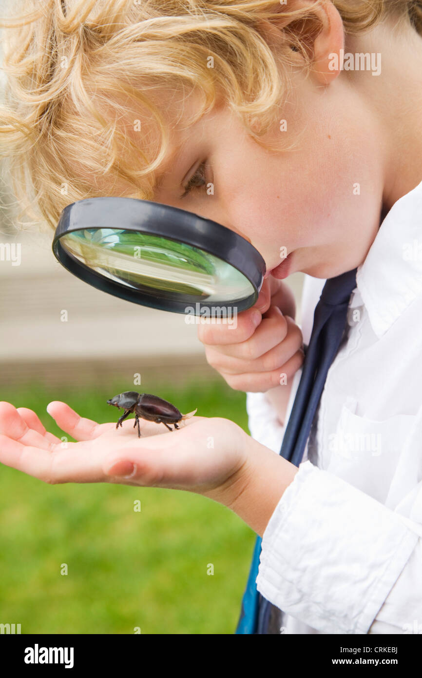 Boy examining bug with magnifying glass Stock Photo