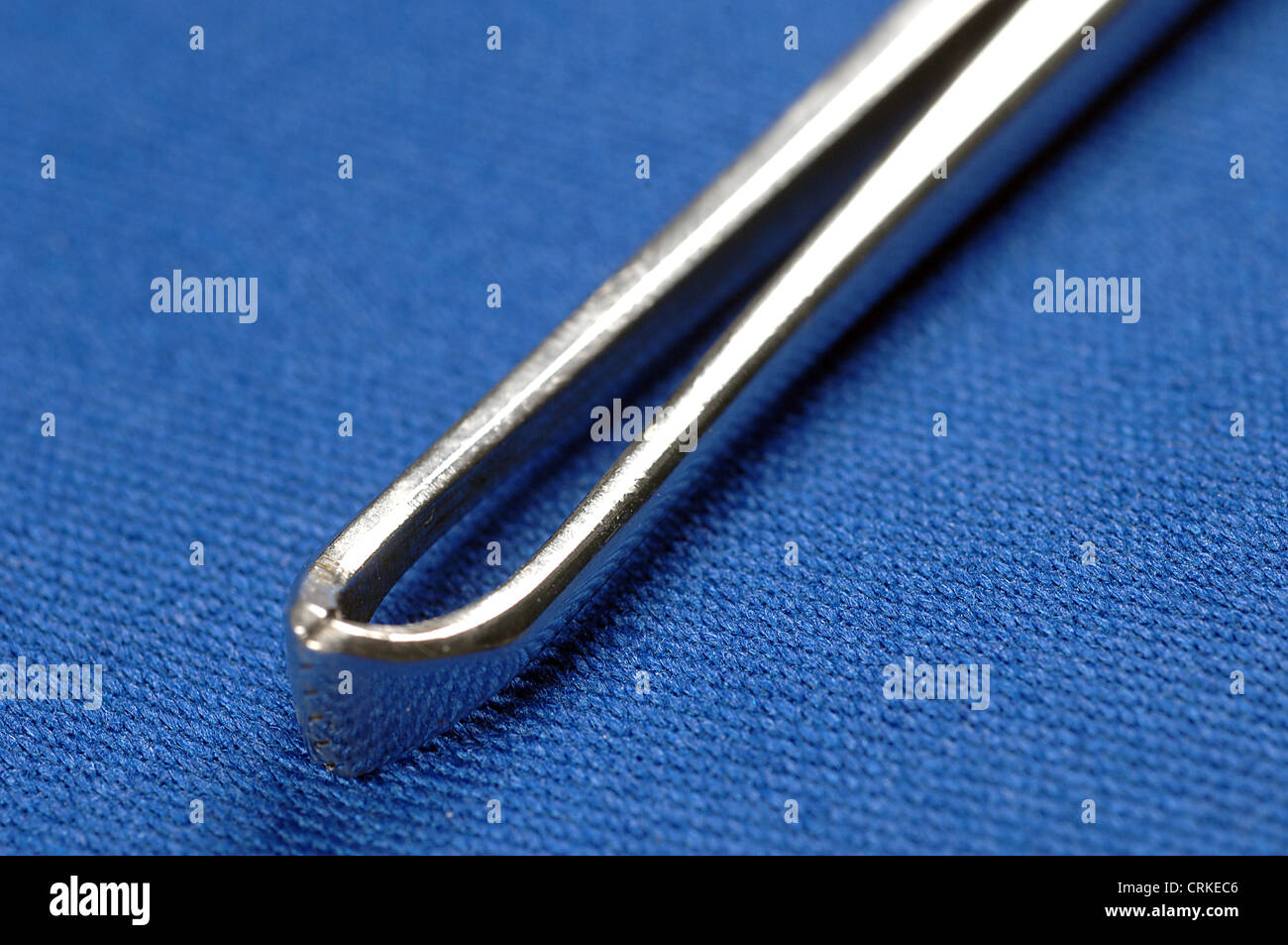 The tip of an Allis clamp; used to apply atraumatic traction to tissue