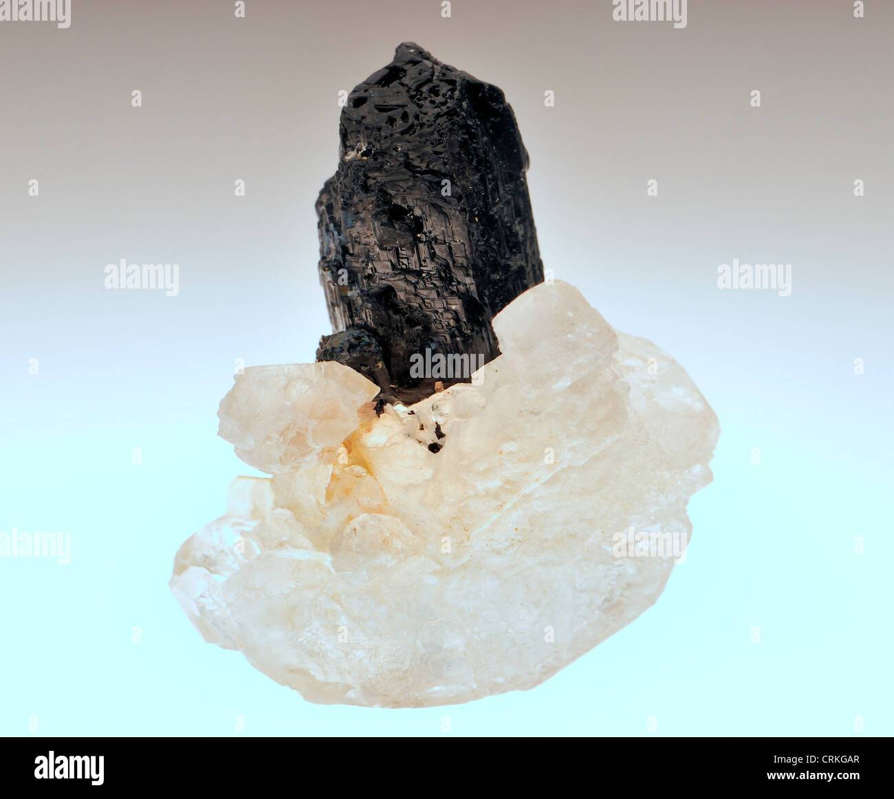 Wolframite / Hubnerite (manganese iron tungstate) on Jacare Quartz matrix (Brazil) Stock Photo