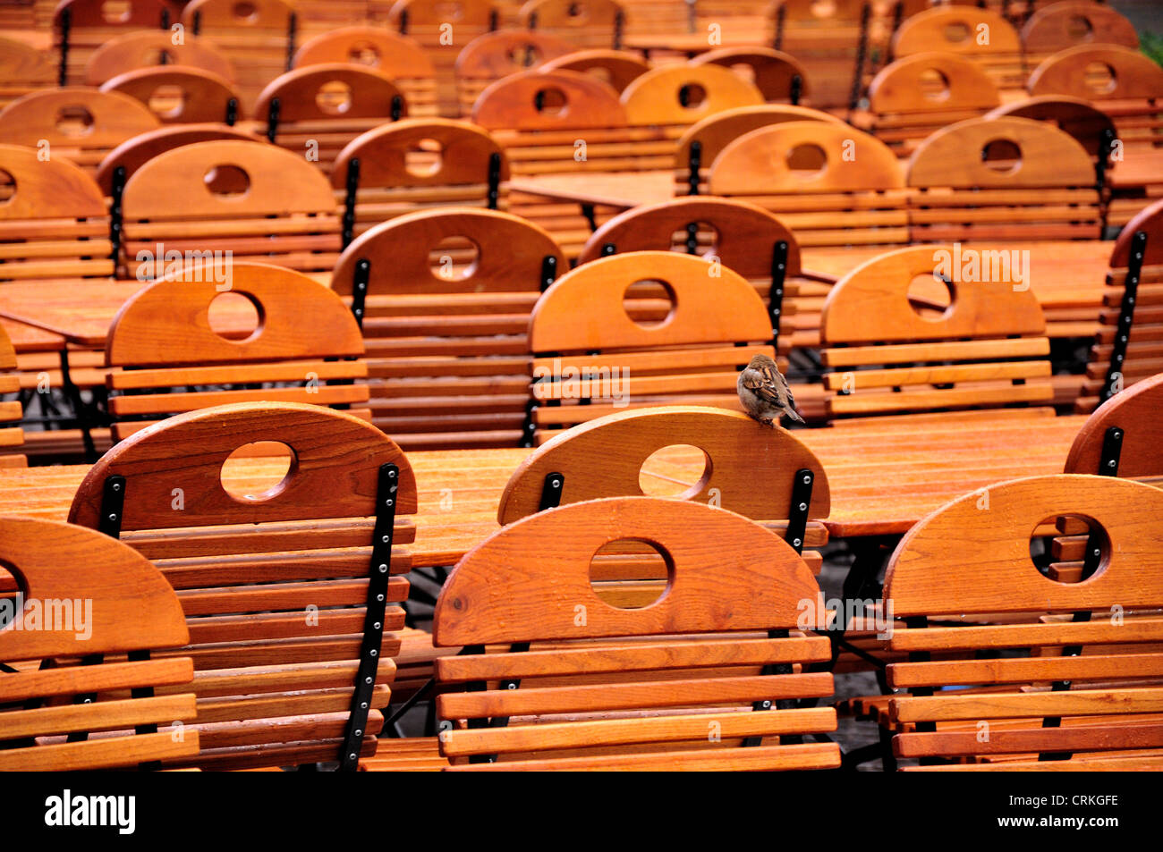 Berlin, Germany. Sony Center (Helmut Jahn; 19962000) in Potsdamer