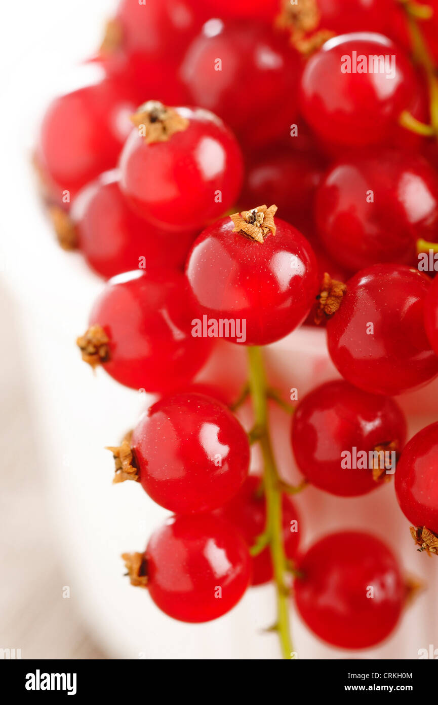 fresh ripe redcurrant Stock Photo