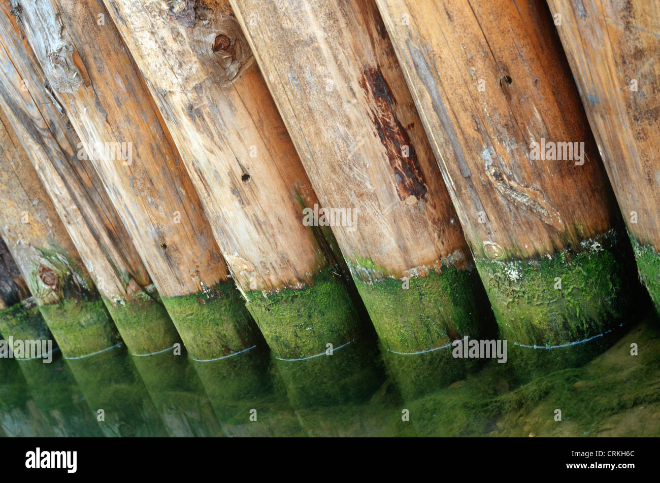 Logs in water Stock Photo - Alamy