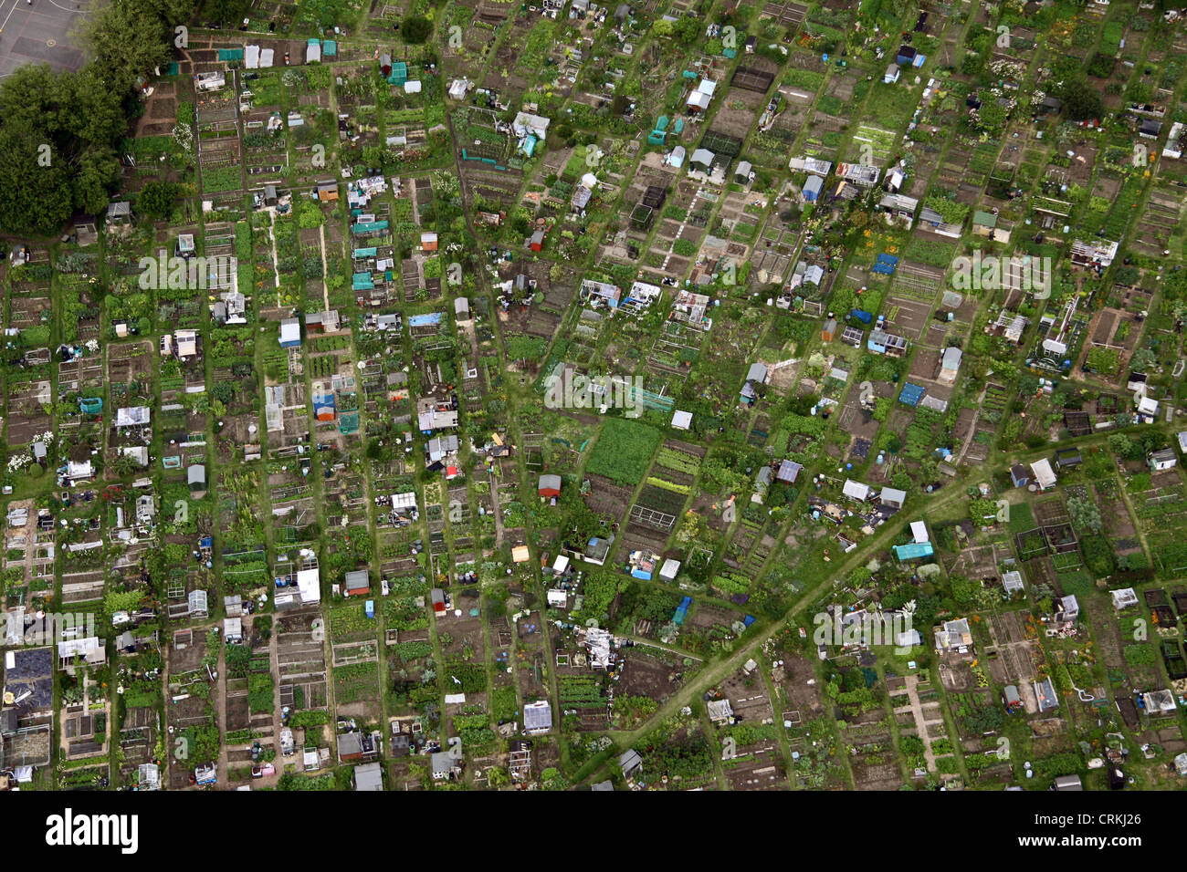 aerial view of allotments in London Stock Photo
