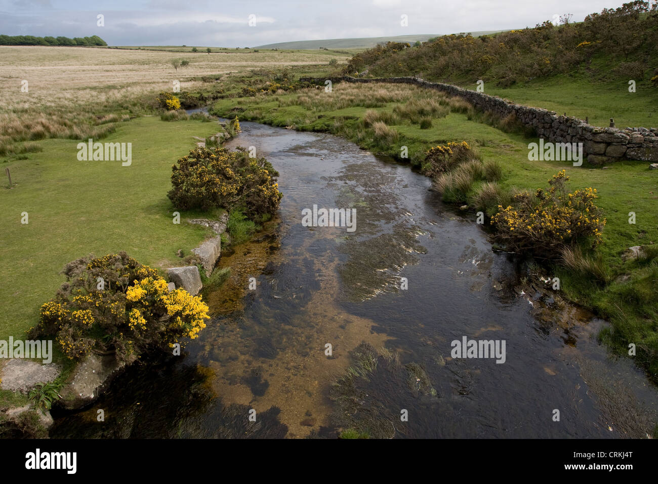 Cherry Brook Dartmoor National Park Devon Stock Photo Alamy