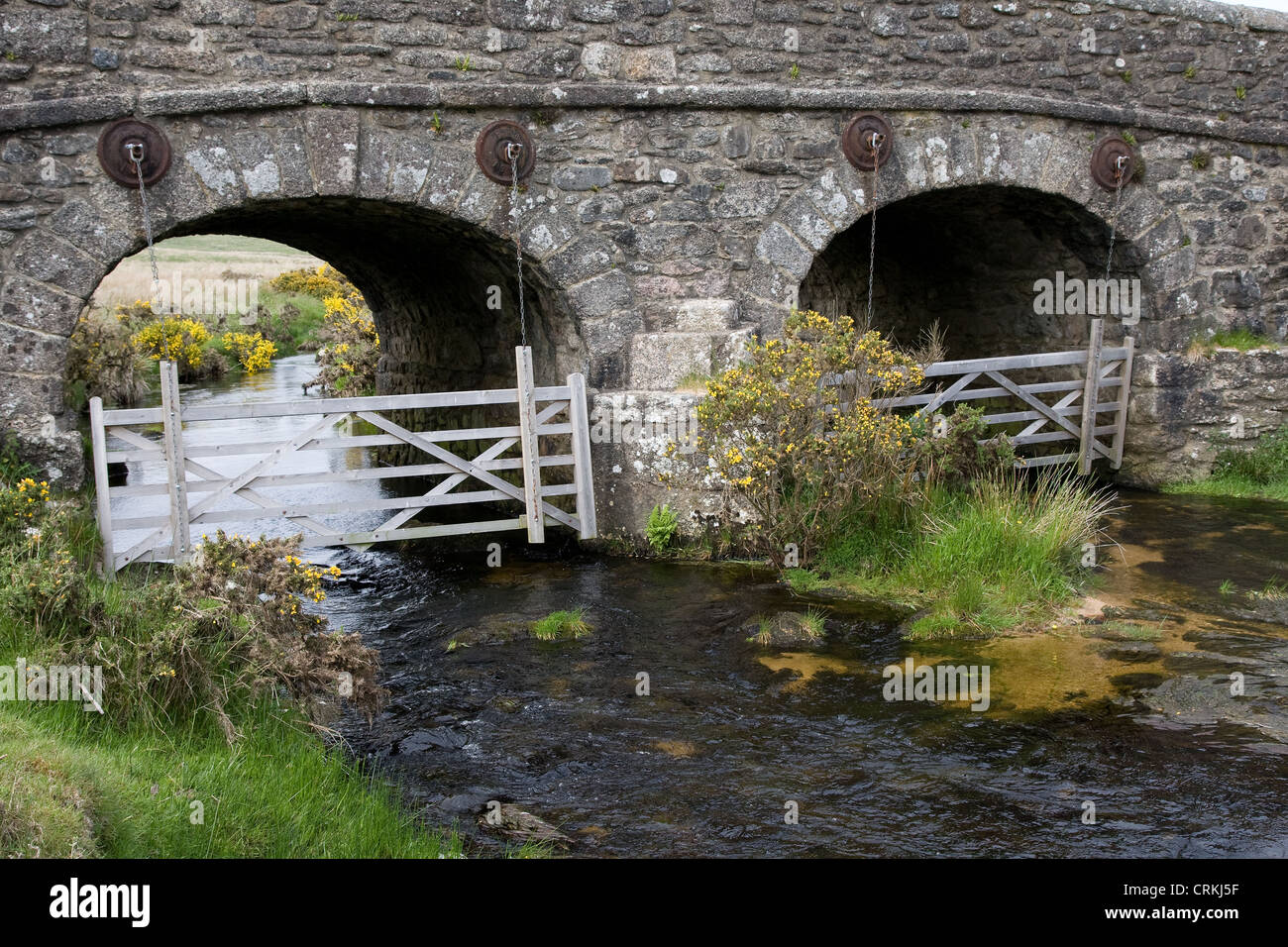 Cherry Brook Dartmoor National Park Devon Stock Photo Alamy