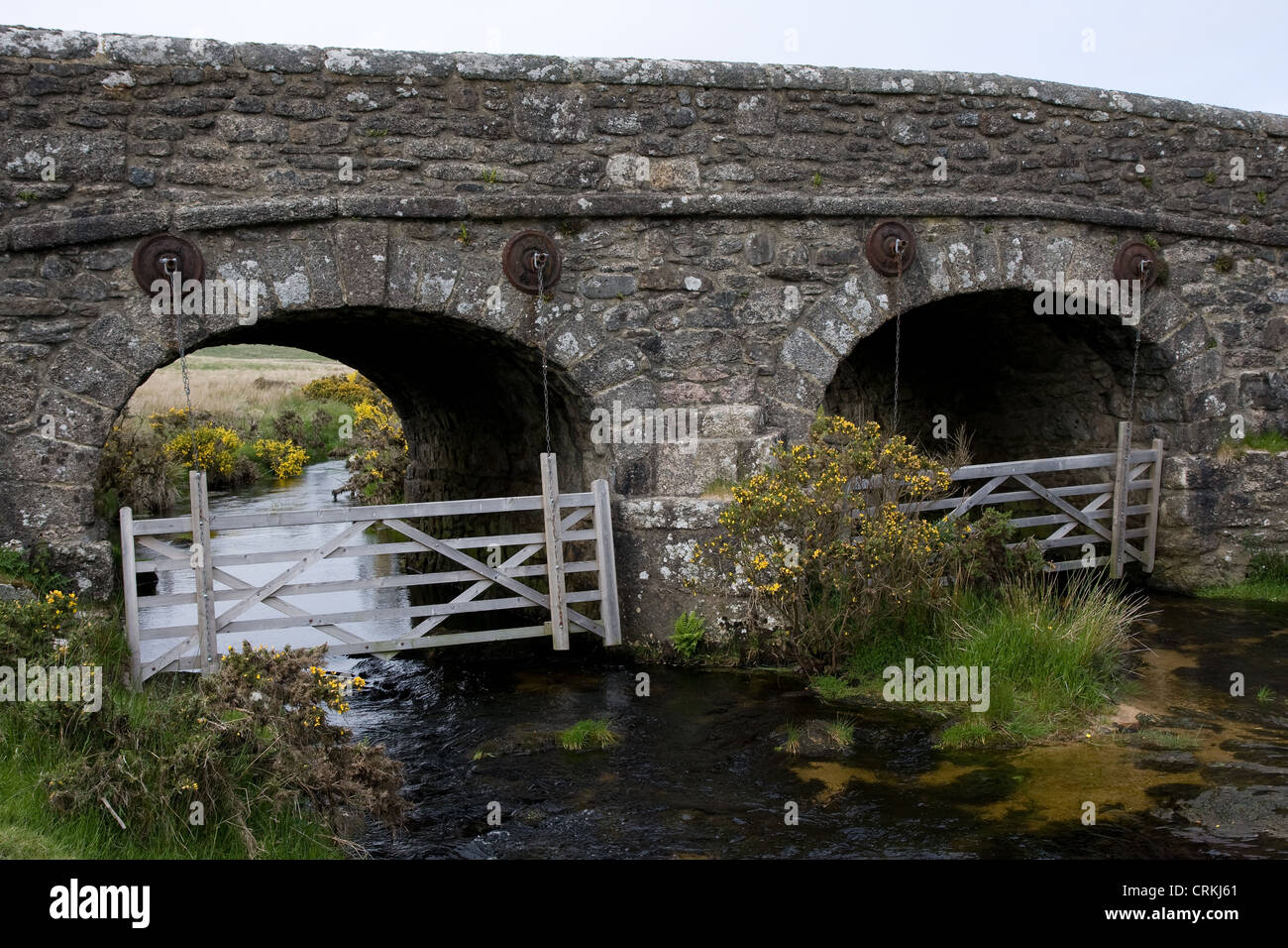 Cherry Brook Dartmoor National Park Devon Stock Photo