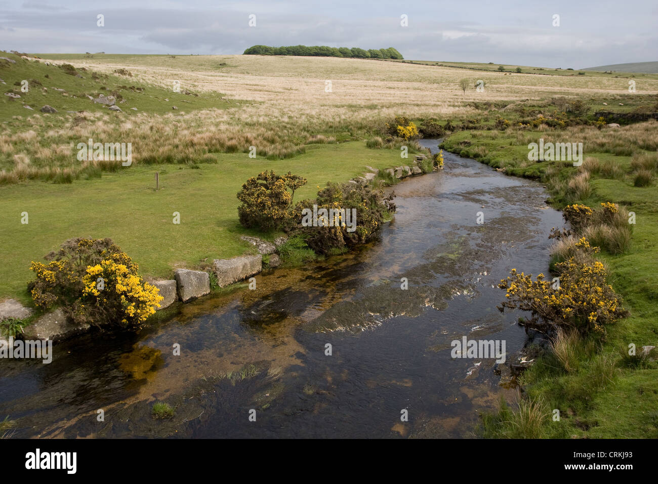 Cherry Brook Dartmoor National Park Devon Stock Photo Alamy