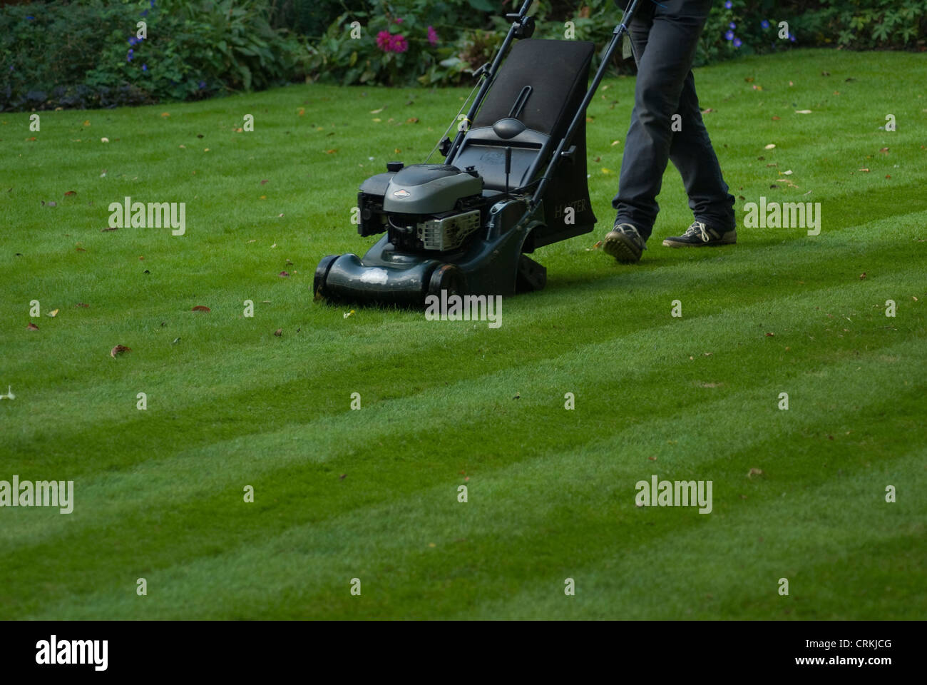 Lawn damage garden hi-res stock photography and images - Alamy