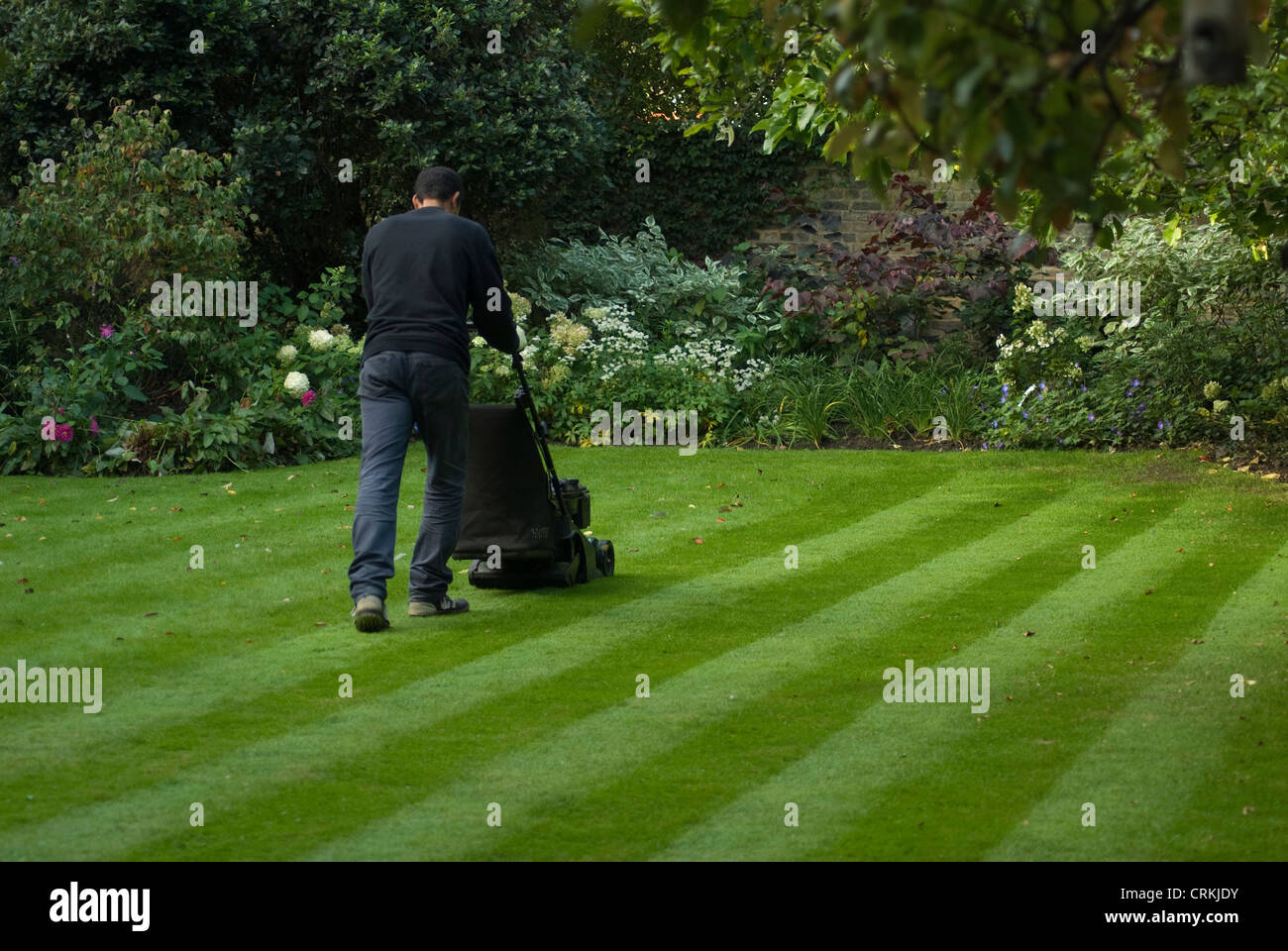 Garden neat lawn flower border hi-res stock photography and images - Alamy