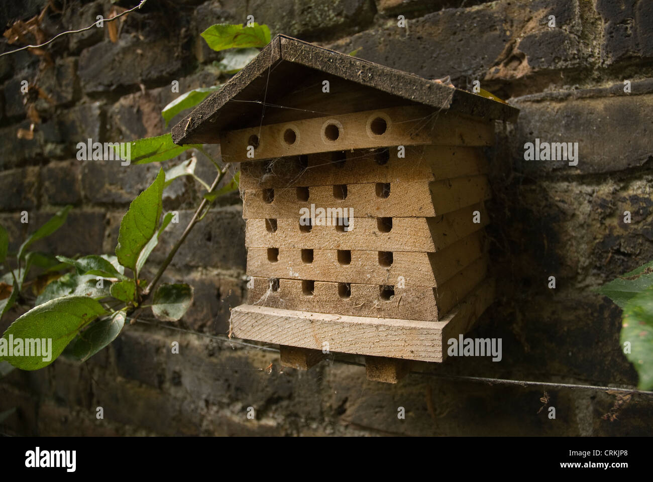Insect house Stock Photo