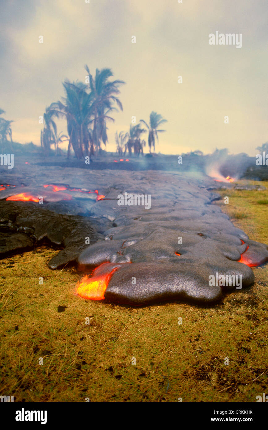 Kilauea Volcano. Island of Hawaii Stock Photo - Alamy