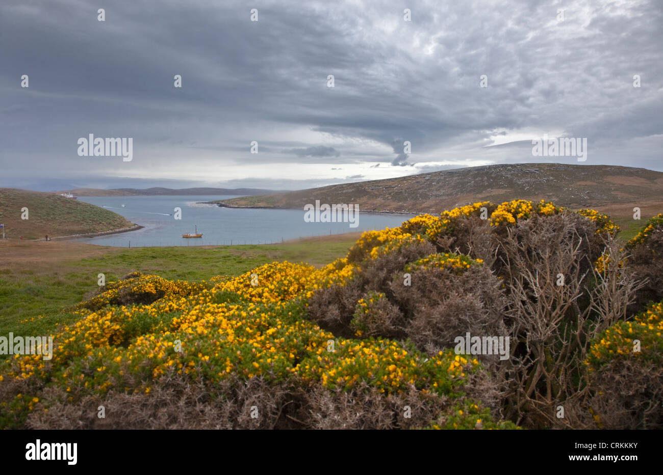 West Point Island, Falklands Stock Photo