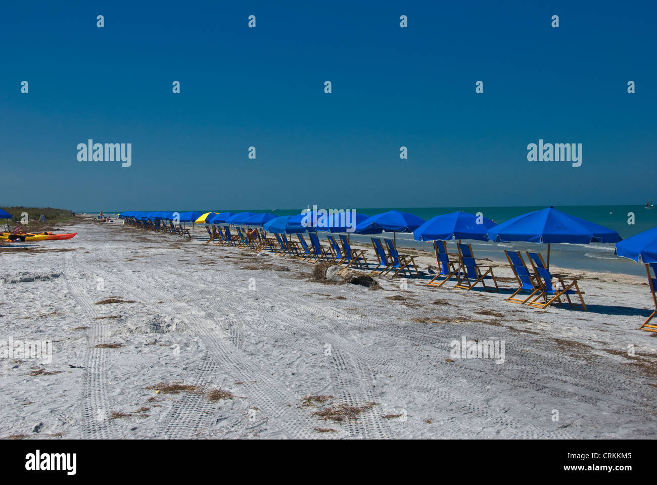 Chairs and umbrellas set up on Caladesi Island, Florida Stock Photo Alamy