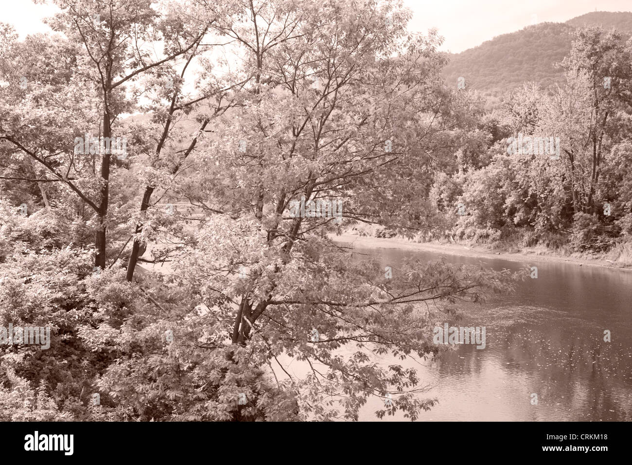 Winooski River at Jonesville, Vermont, summer Stock Photo