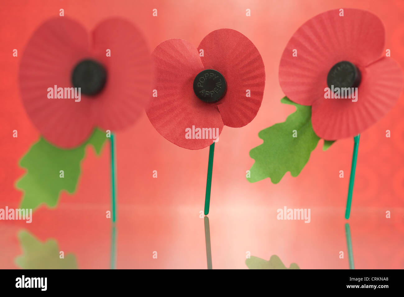 Veteran's Memorial Poppies Stock Photo Alamy