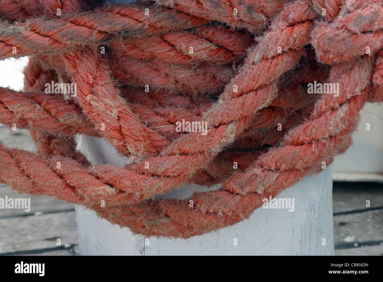 Rope of boat knotting Stock Photo Alamy