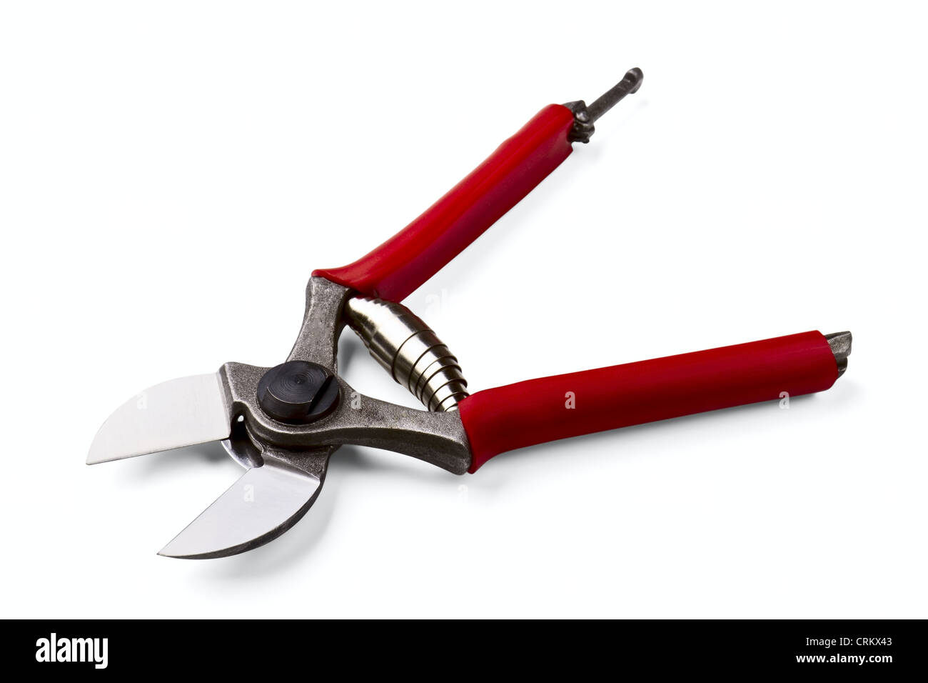 garden secateurs isolated on a white background Stock Photo