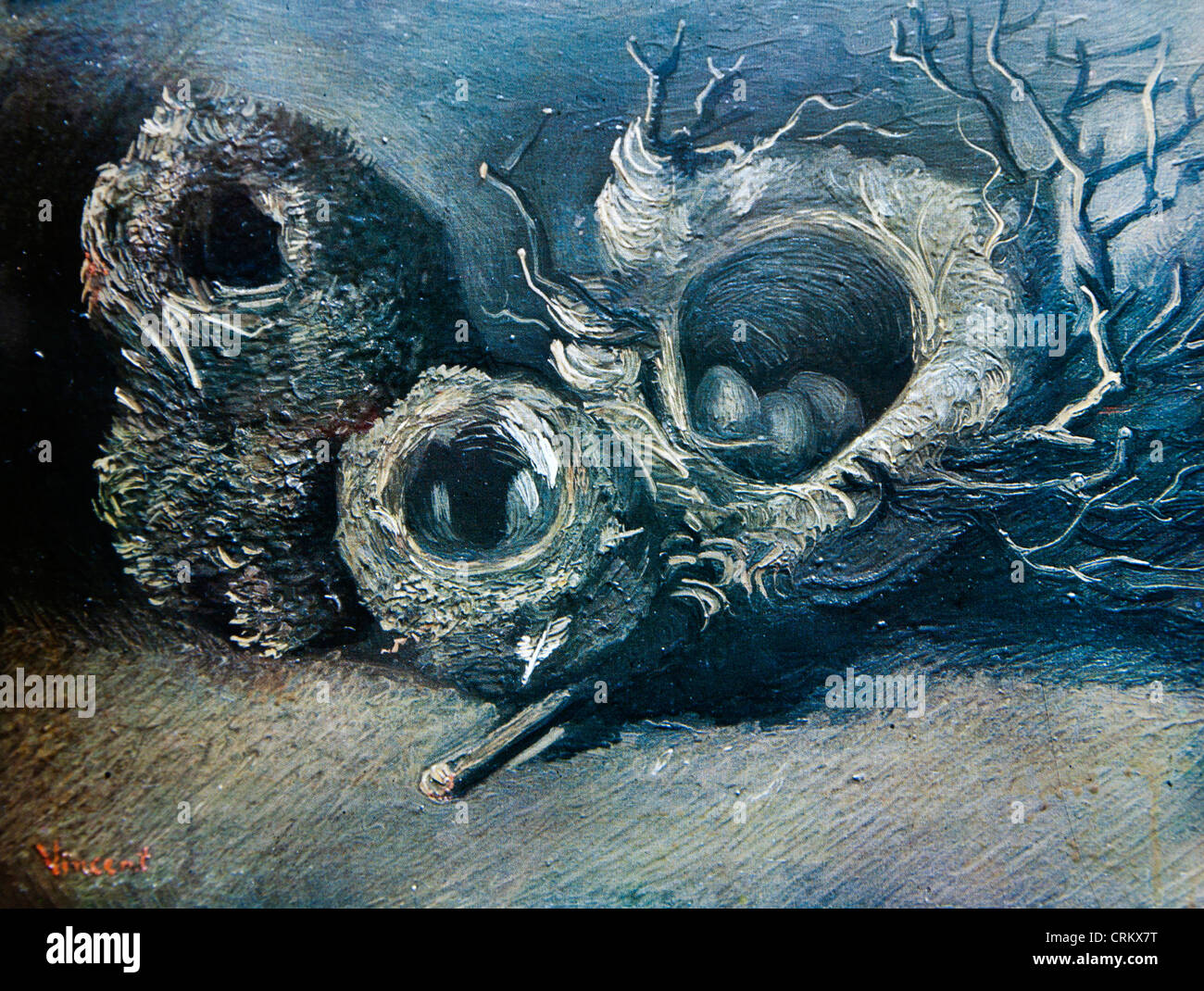 Three Birds’ Nests - Van Gogh Stock Photo