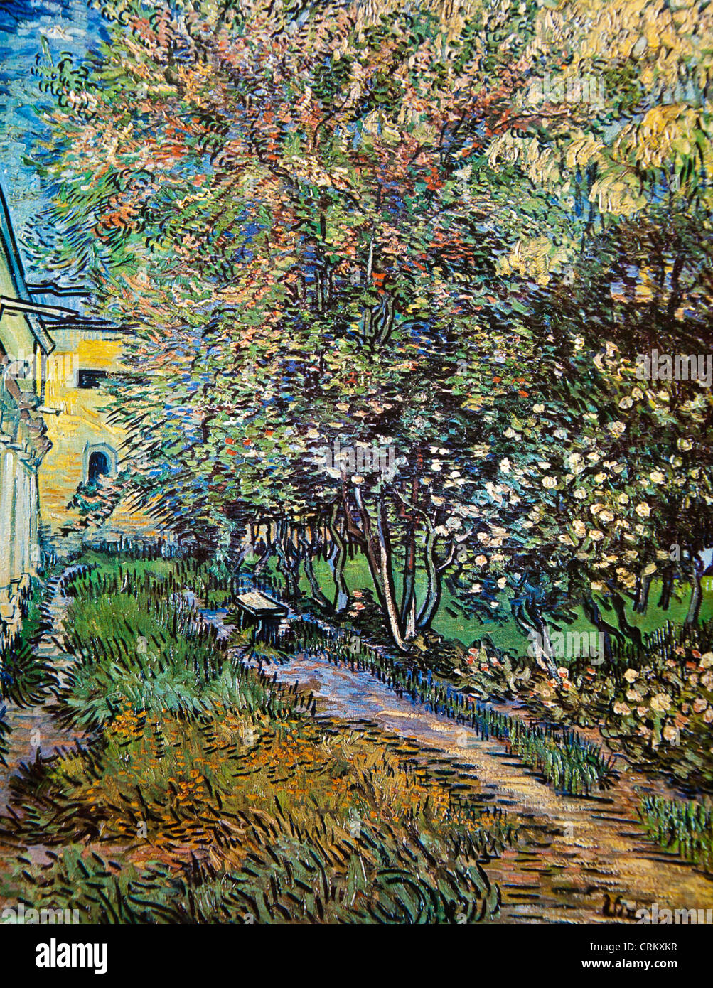 The Garden of Saint-Paul’s Hospital at Saint-Remy - Van Gogh Stock Photo