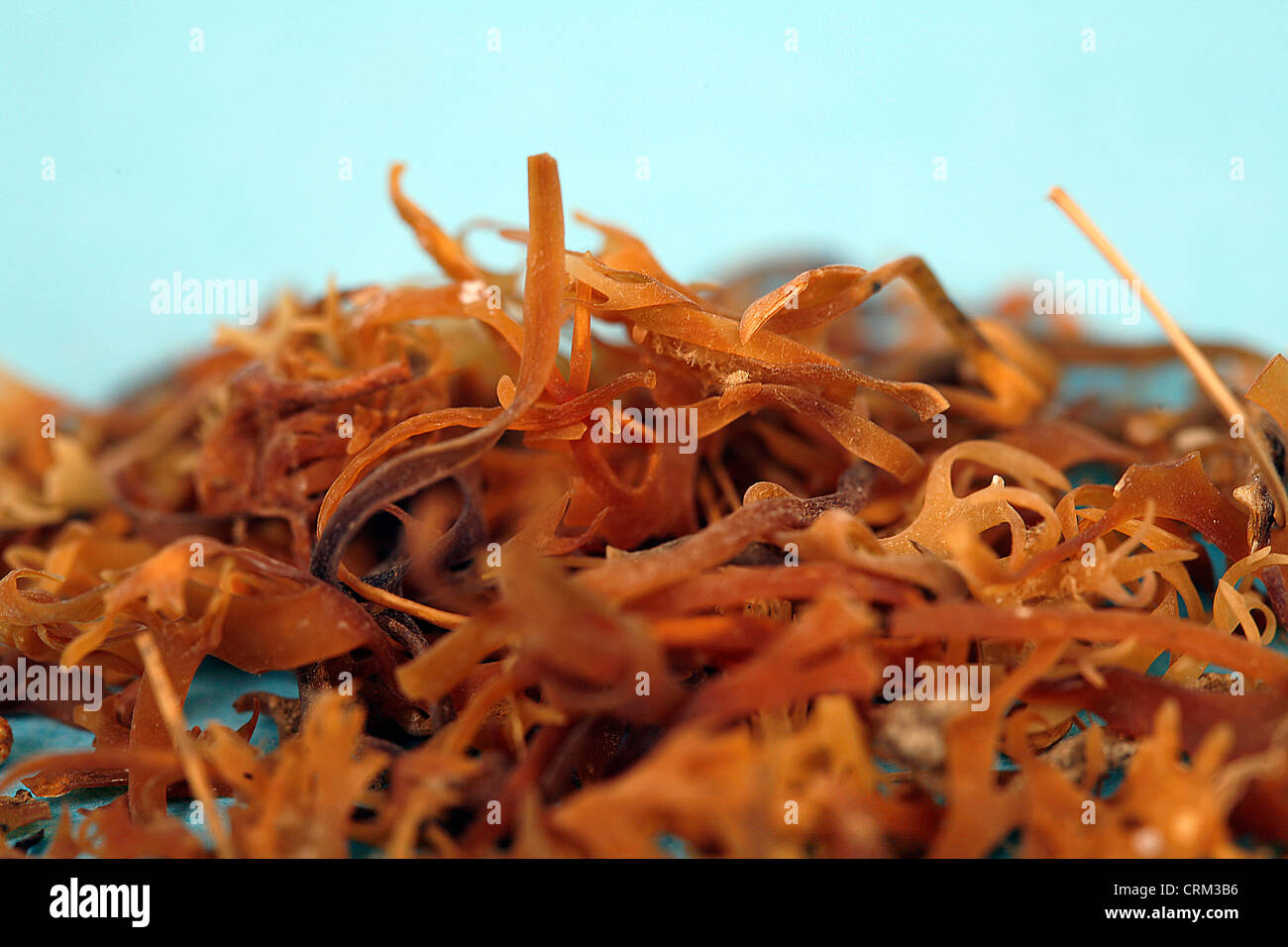 Demulcent High Resolution Stock Photography and Images Alamy