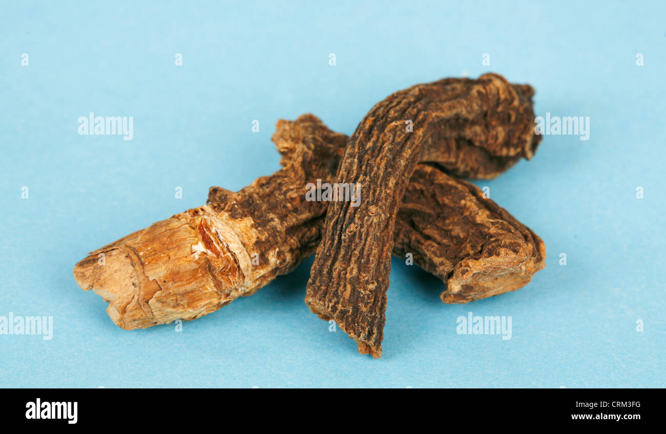 Gentian root has a long history of use as an herbal bitter in the