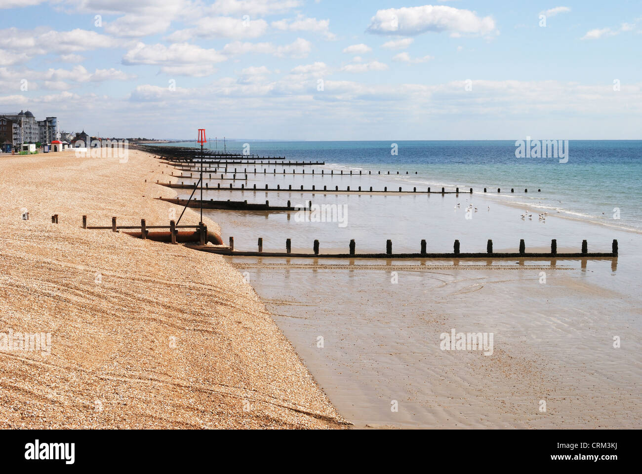 Shingle Beach and seafront at Bognor Regis in West Sussex. England Stock Photo
