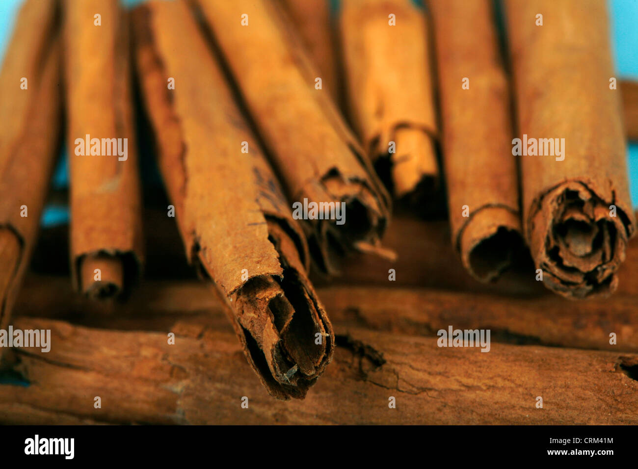 Cinnamon sticks as a herbal medicine have been traditionally been used to treat toothache and fight bad breath, to stave off the common cold, and aid digestion Stock Photo