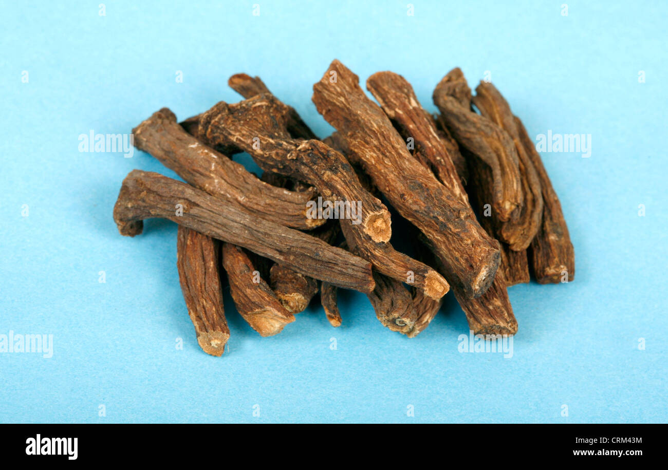 Dandelion is approved by the German Commission E monographs, the