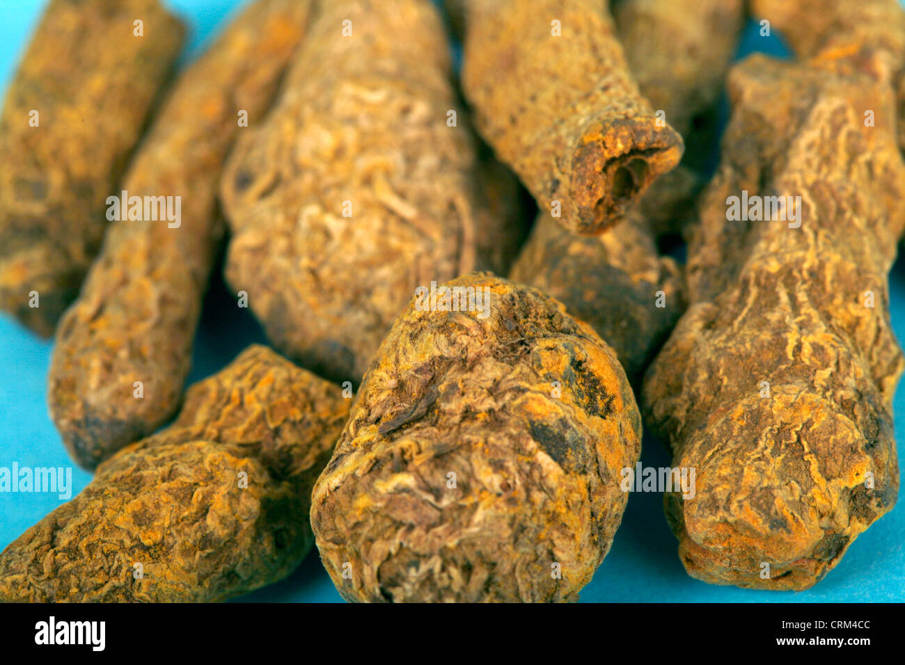 Turmeric which contains curcumin has been used for thousands of years