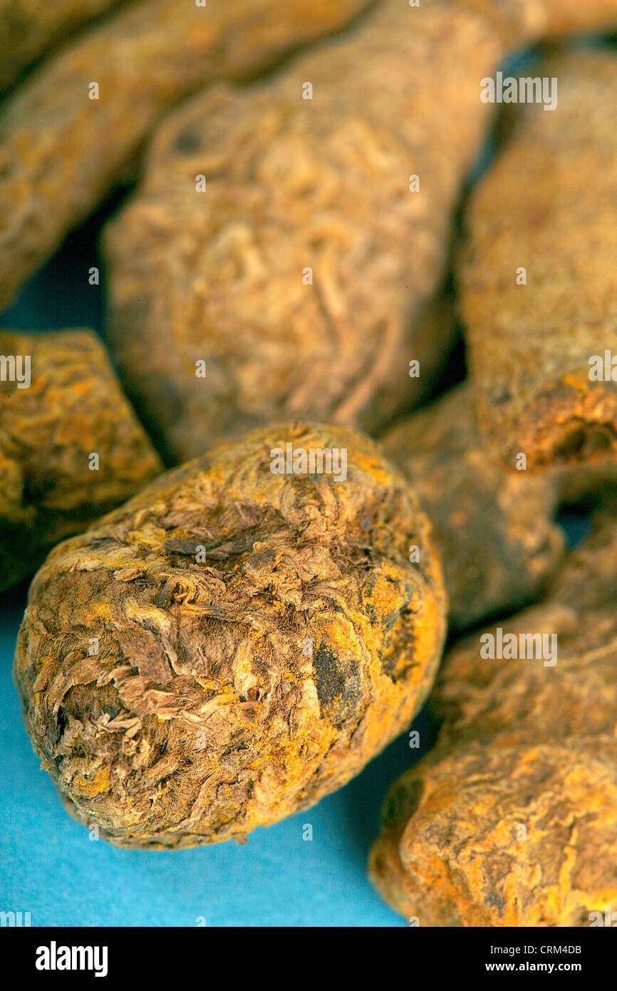 Turmeric which contains curcumin has been used for thousands of years