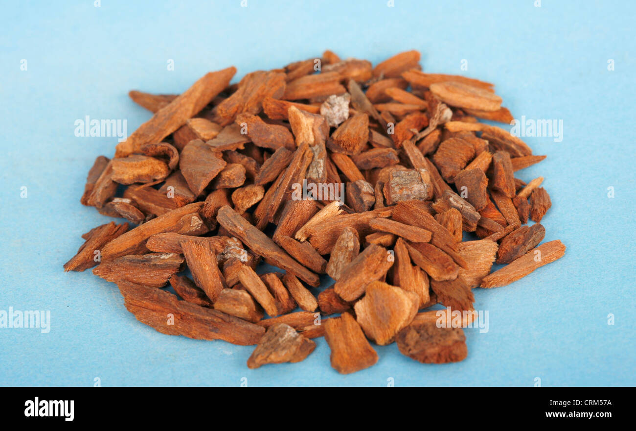 Cinchona bark includes alkaloids which are closely related to quinine