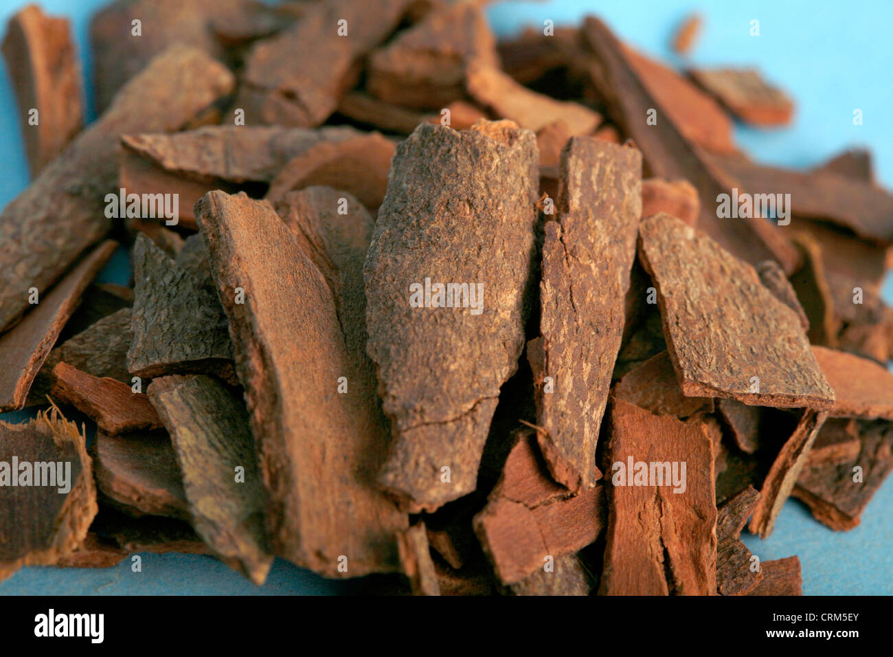 Cassia bark is considered one of the 50 fundamental herbs in China