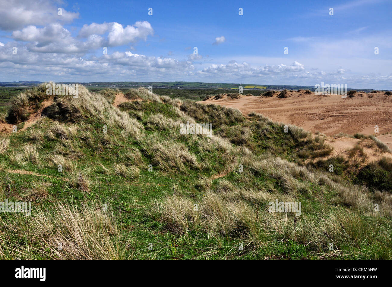 Sand burrows hi-res stock photography and images - Alamy
