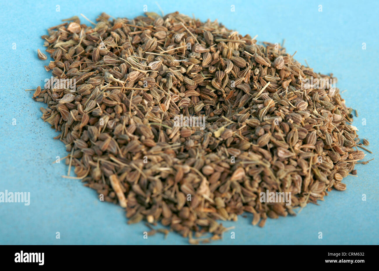 Anise fruit contains anethole, an aromatic compound that accounts for its distinctive liquorice flavor. Anise leaves can be used to treat digestive problems, relieve toothache, and its essential oil to treat lice and scabies. Stock Photo