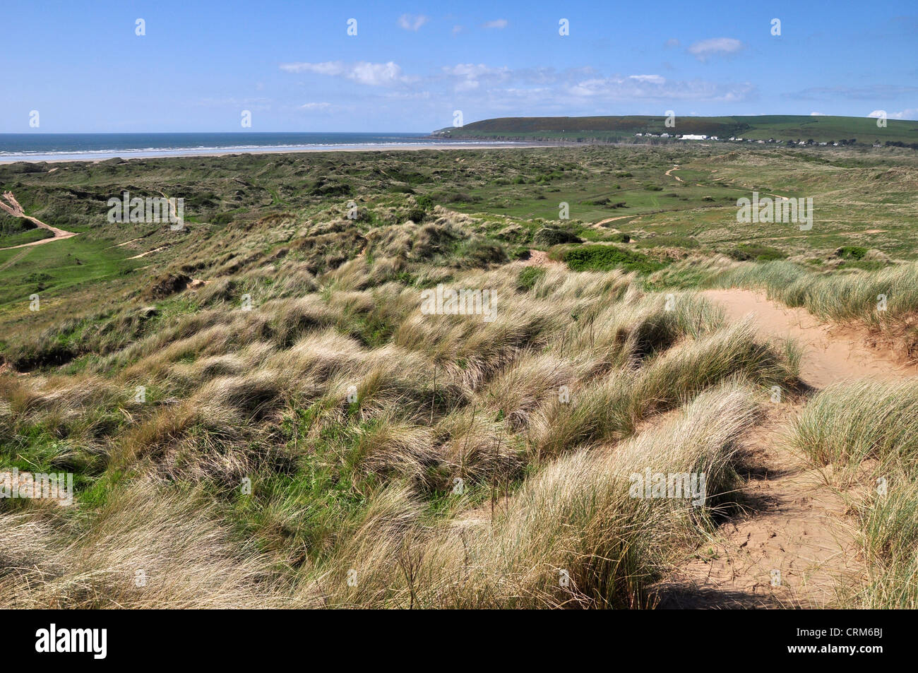 Sand dunes on Braunton Burrows, north Devon coast Stock Photo Alamy