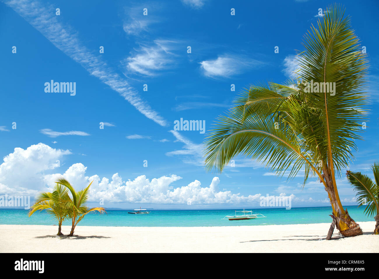 Beach with palm trees hi-res stock photography and images - Alamy
