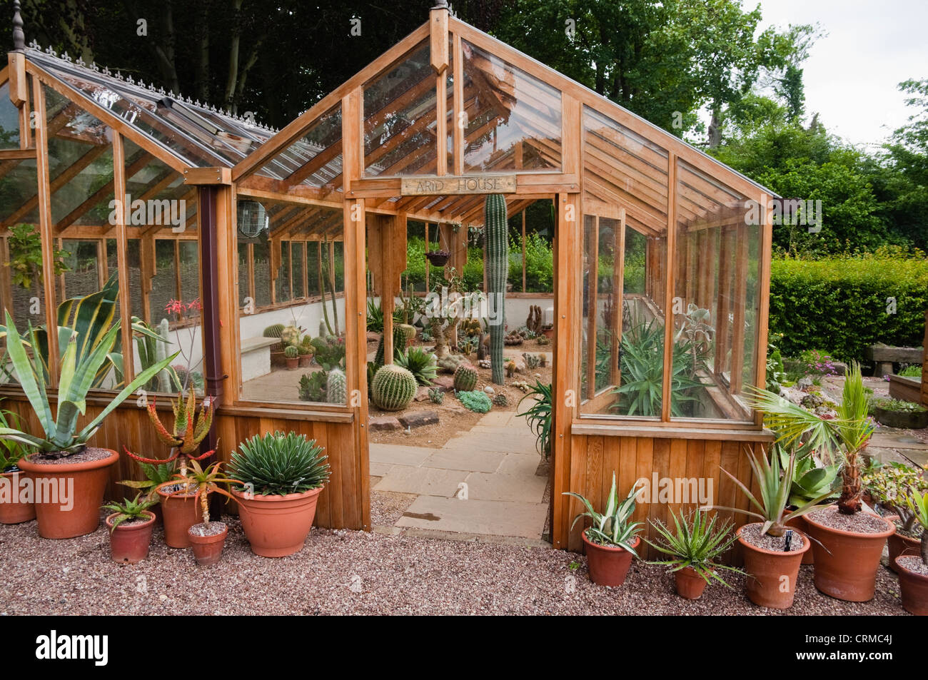 The Arid House,   traditional wooden greenhouses containing cacti,  surrounded by cactus pots.. Winterbourne House. UK. Stock Photo