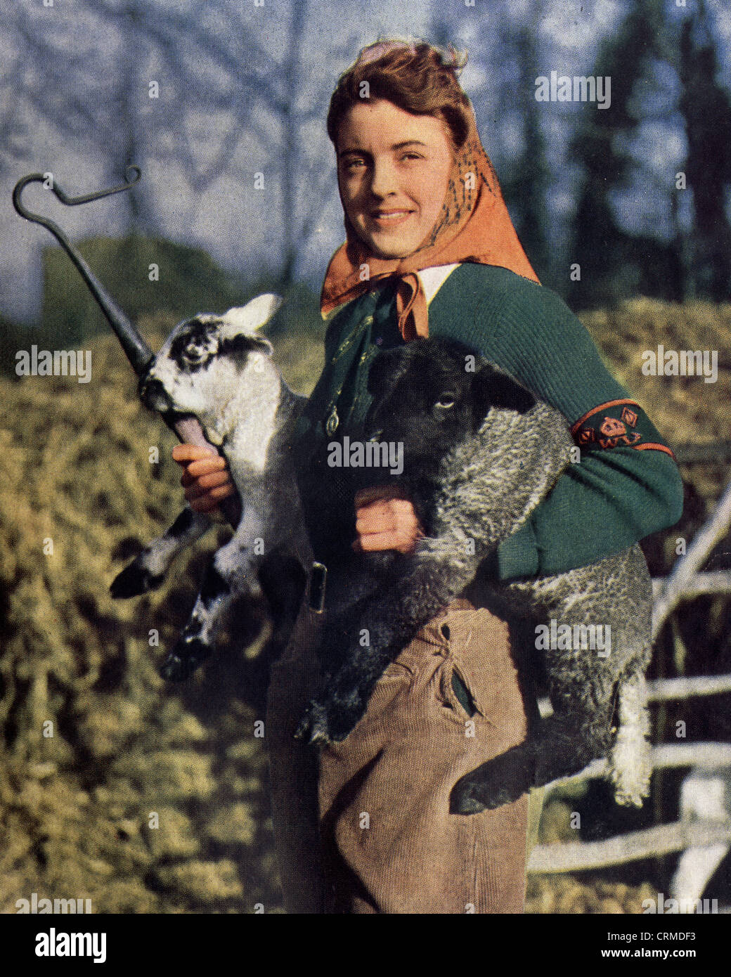 A women's land army girl holding a newborn lamb. 1939-45. Stock Photo