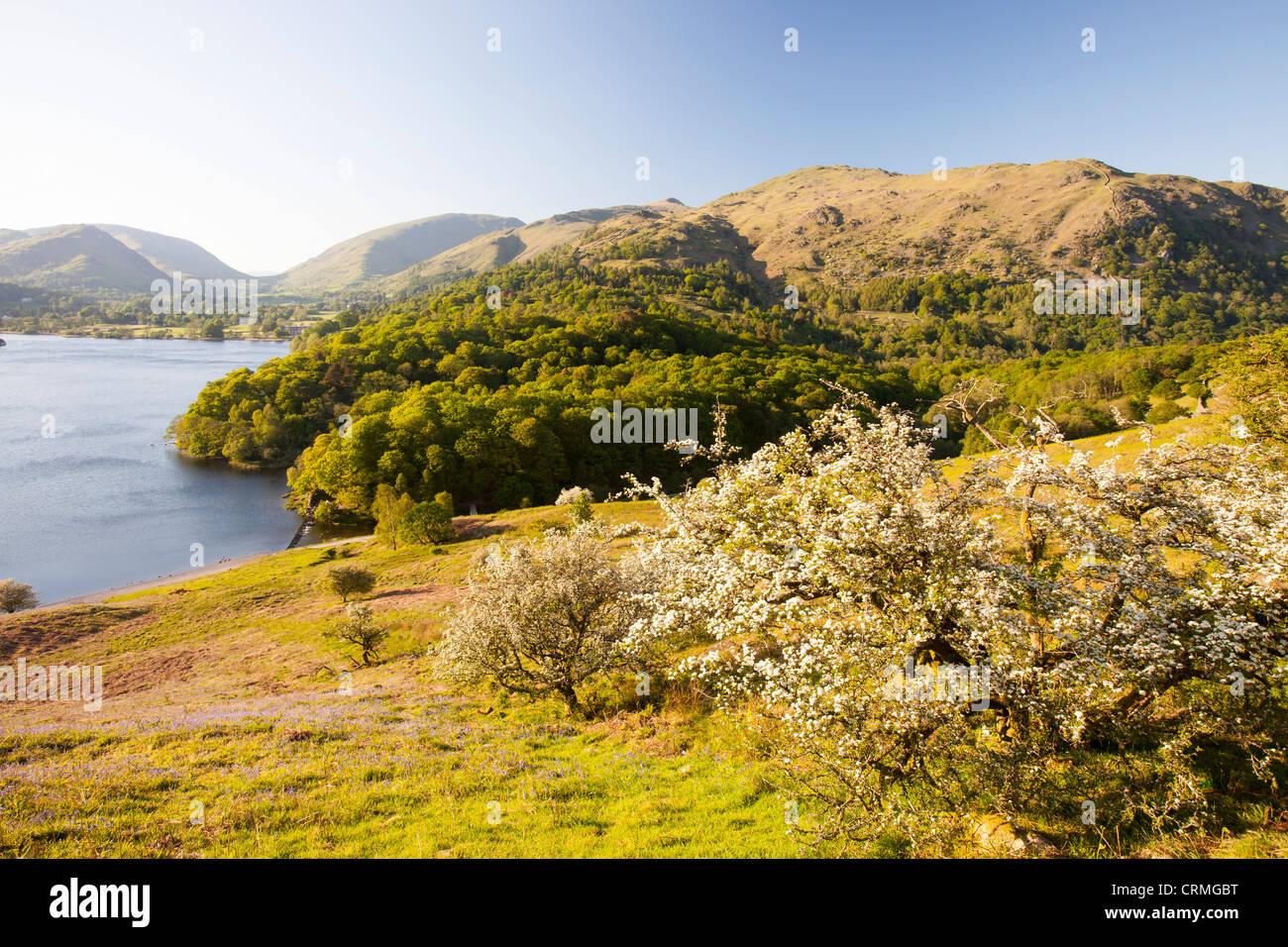 Grasmere Lake in Spring, near Ambleside in the Lake District, UK. Stock Photo
