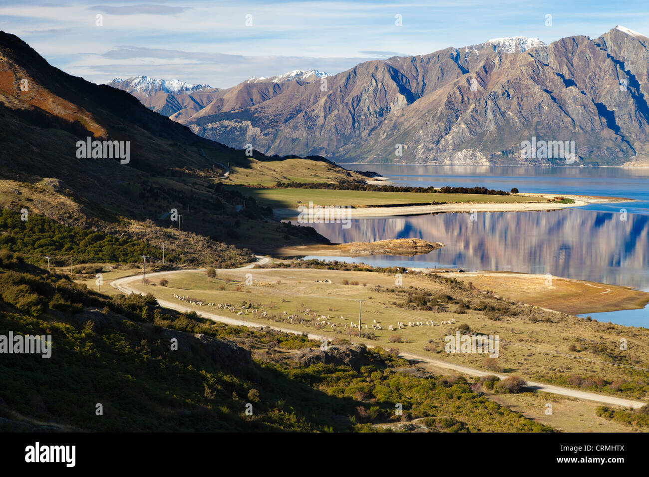 Lake Hawea, South Island of New Zealand Stock Photo - Alamy