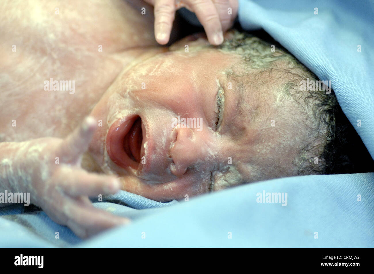 Close up of a new born baby in hospital wraps in a cot, soon after birth. A Paeditrician will clean and check the child's health before presenting her to her mother. Stock Photo