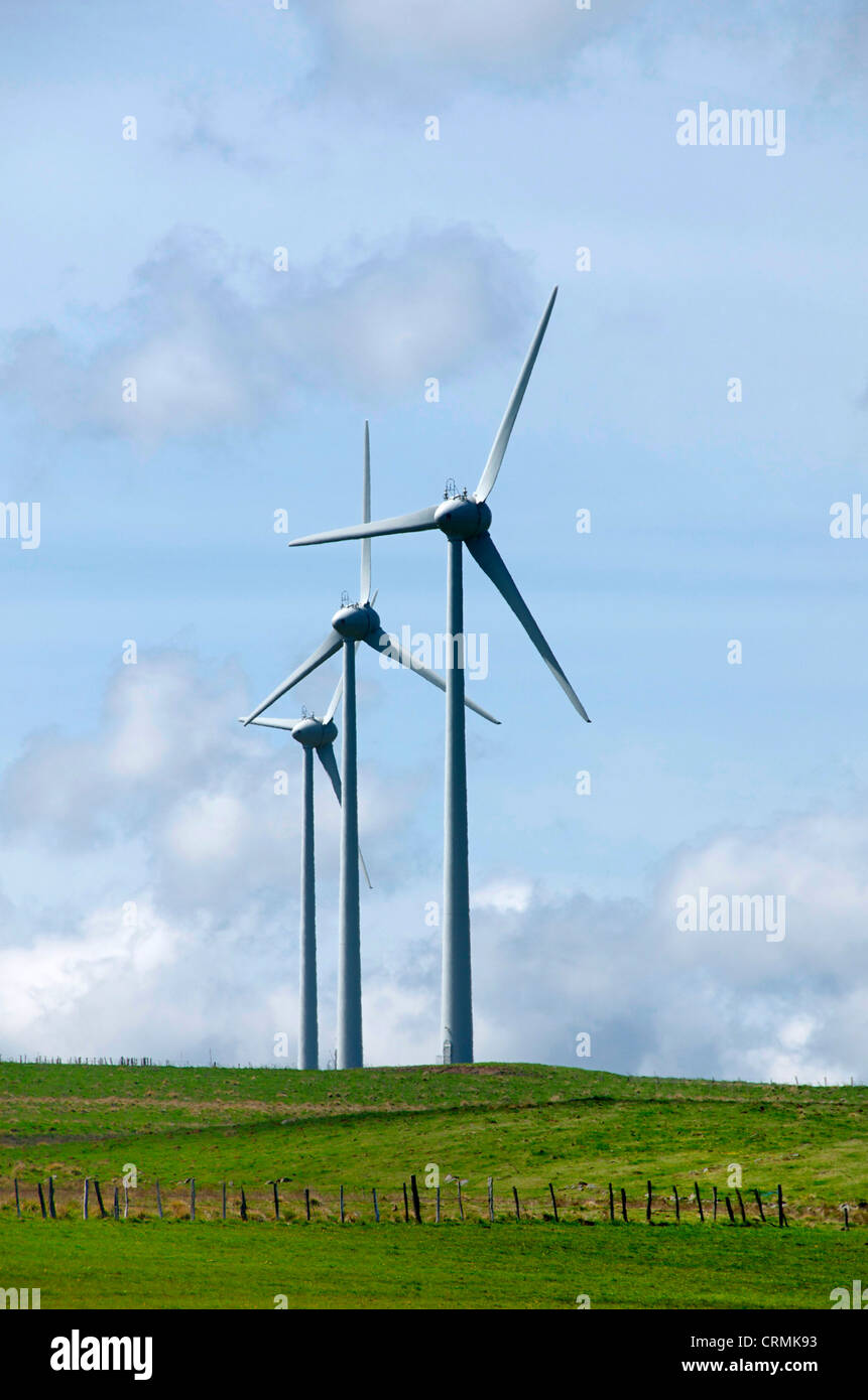 Wind turbines generate renewable energy on a clear day in an open green ...