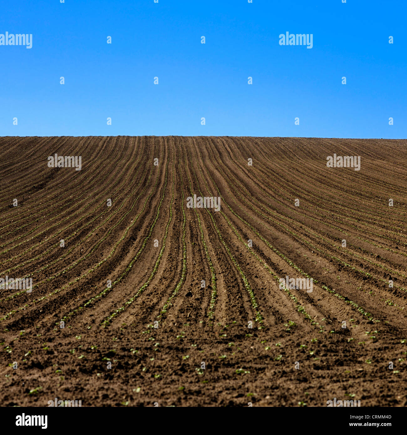Plowed / ploughed field France, Europe Stock Photo