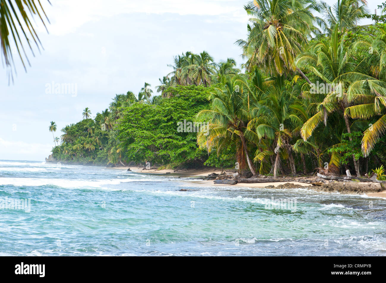 Costa Rica Beach Scene Stock Photo