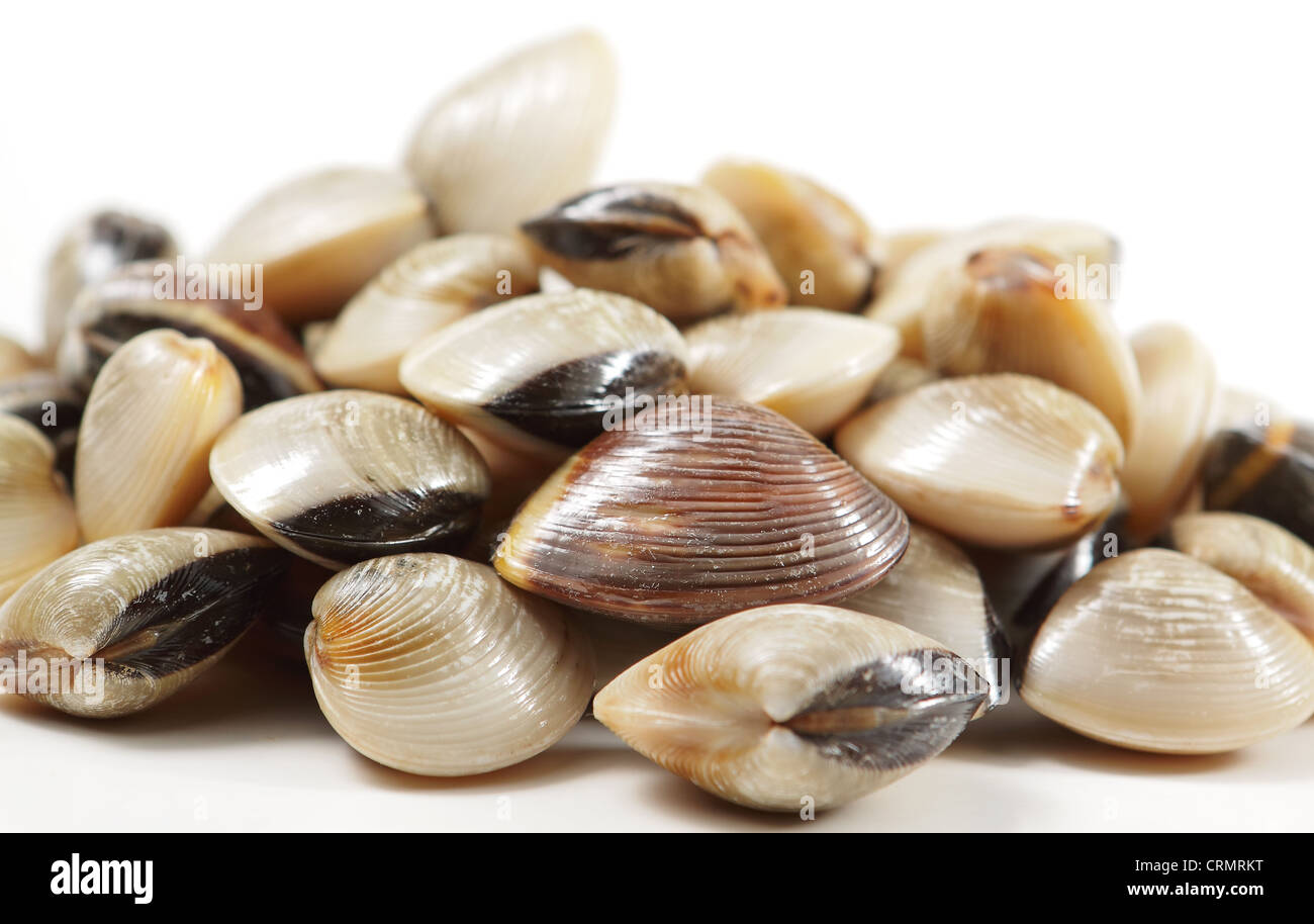 Clam steamed egg hires stock photography and images Alamy