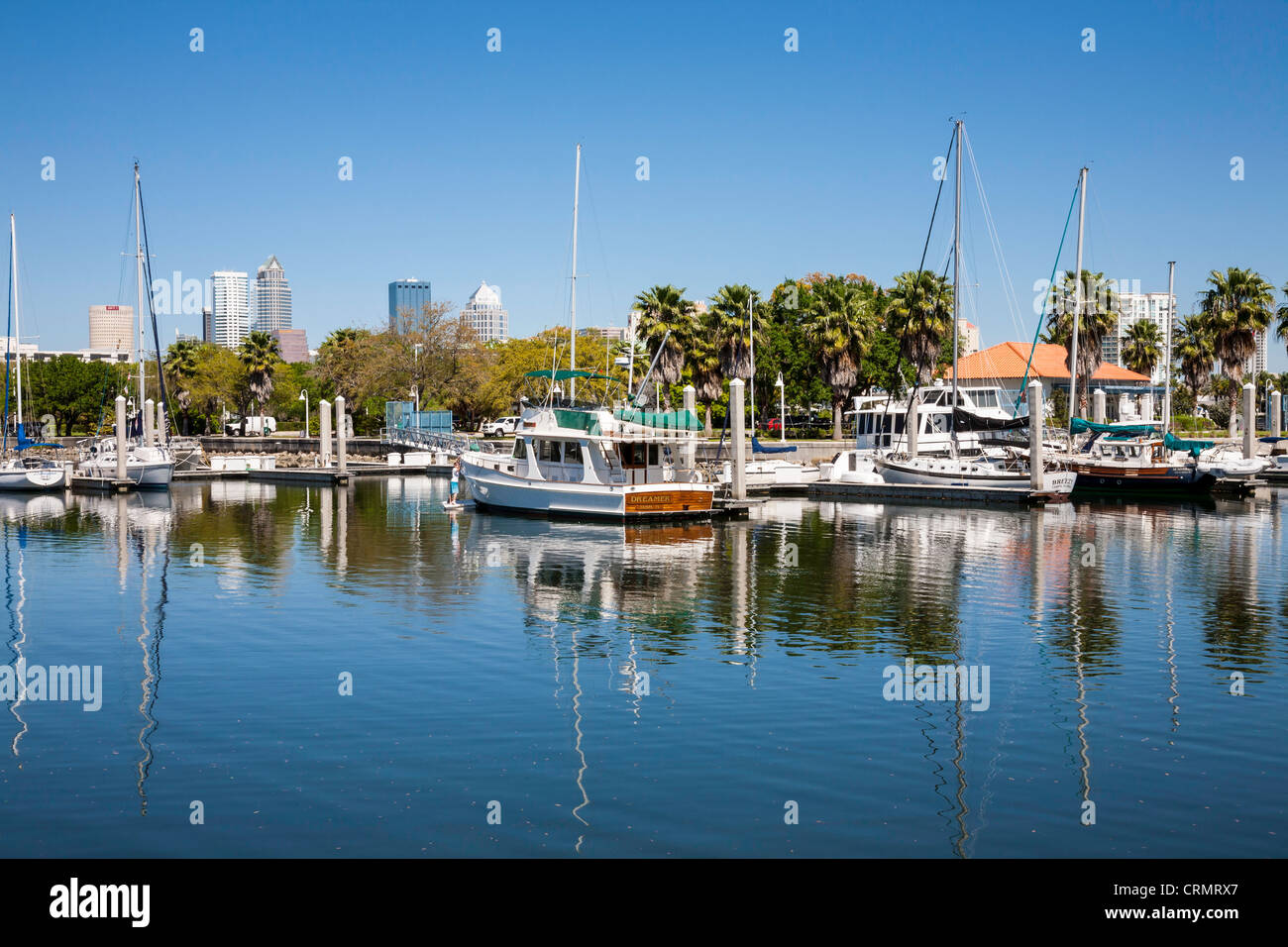 Davis island Marina with Tampa skyline in back, Tampa, Florida Stock Photo